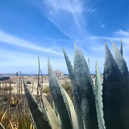 Ocean House - Origo Mare