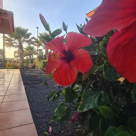 빌라 Ocean House - Origo Mare *